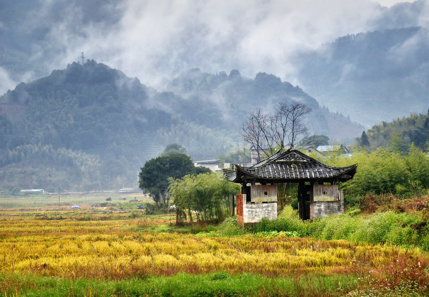 山秋如画——刘钦慧 摄