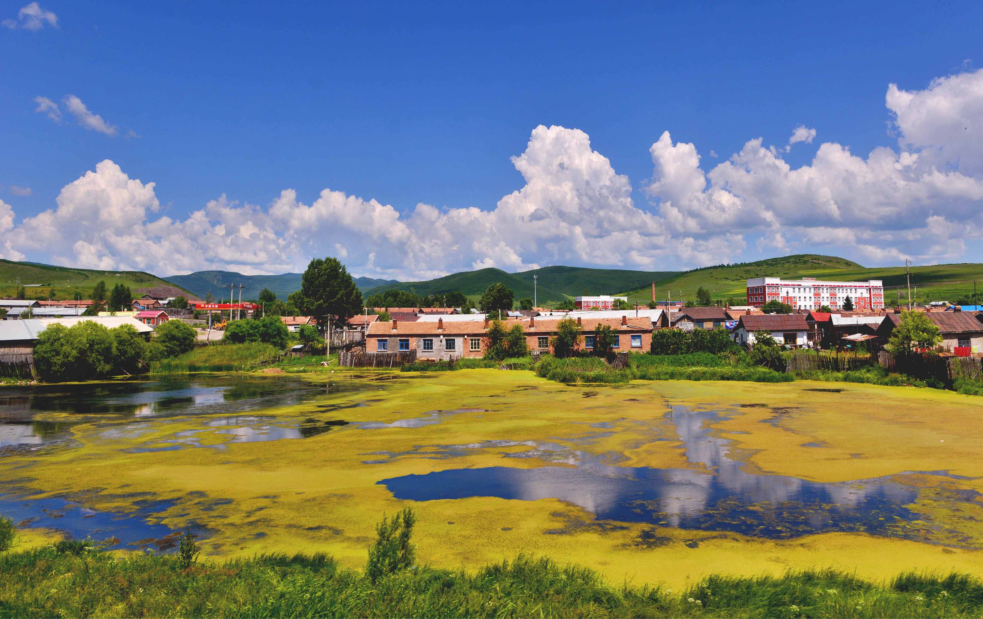 《七彩家园》