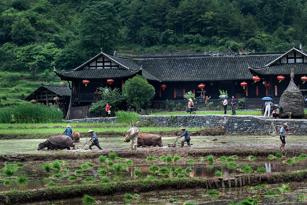 《土家农耕》组照