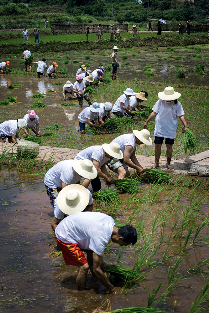 《土家农耕》组照