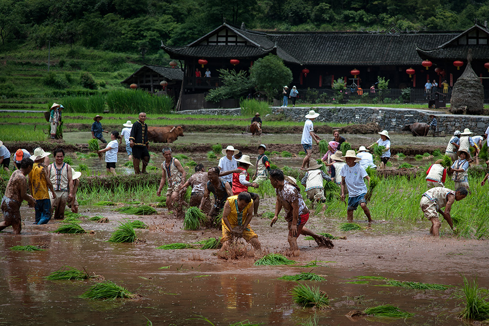 《土家农耕》组照-高帆杯"行走中国"全国摄影大展投稿区-大众摄影网