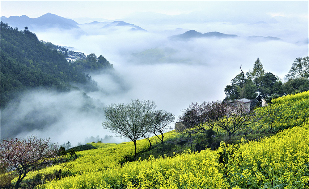 烟雨江南春(组照)