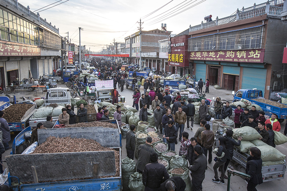 繁忙的药材市场
