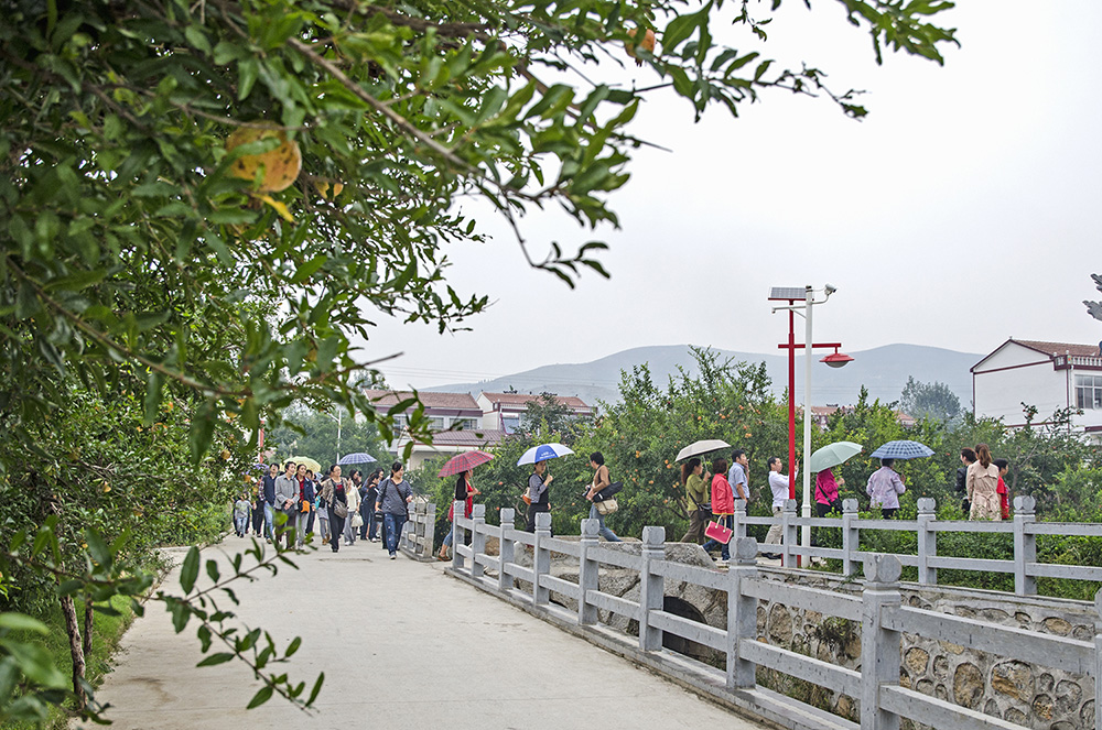 石榴村的致富经(组照)