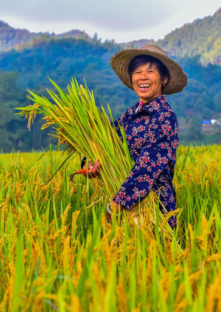 《丰收的喜悦》组图