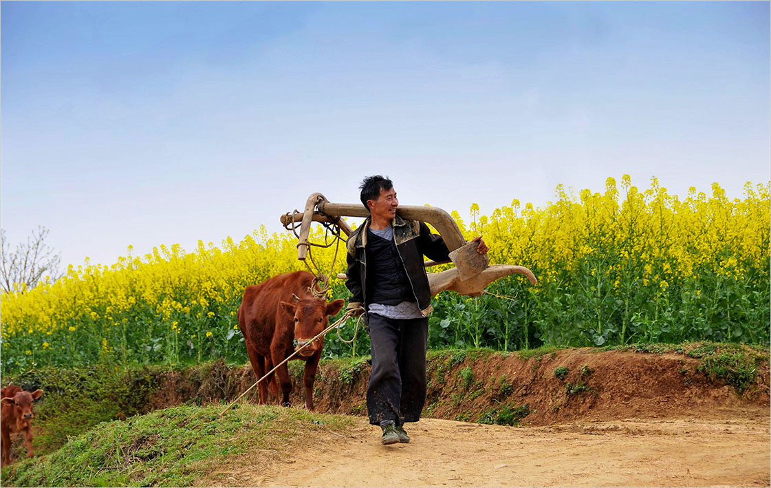 30《色映辛劳》郭振毅-牟家坝郑家沟上地农夫.jpg