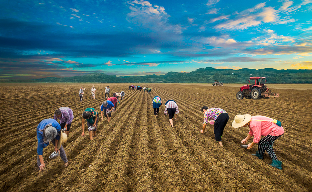播撒希望的种子-"我和我的祖国"摄影类征稿区-大众摄影网 -