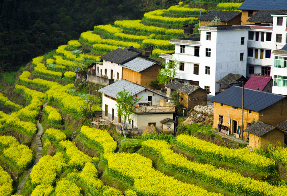 《美丽新农村》