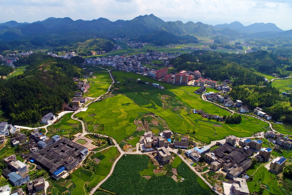 《绿色同安镇》