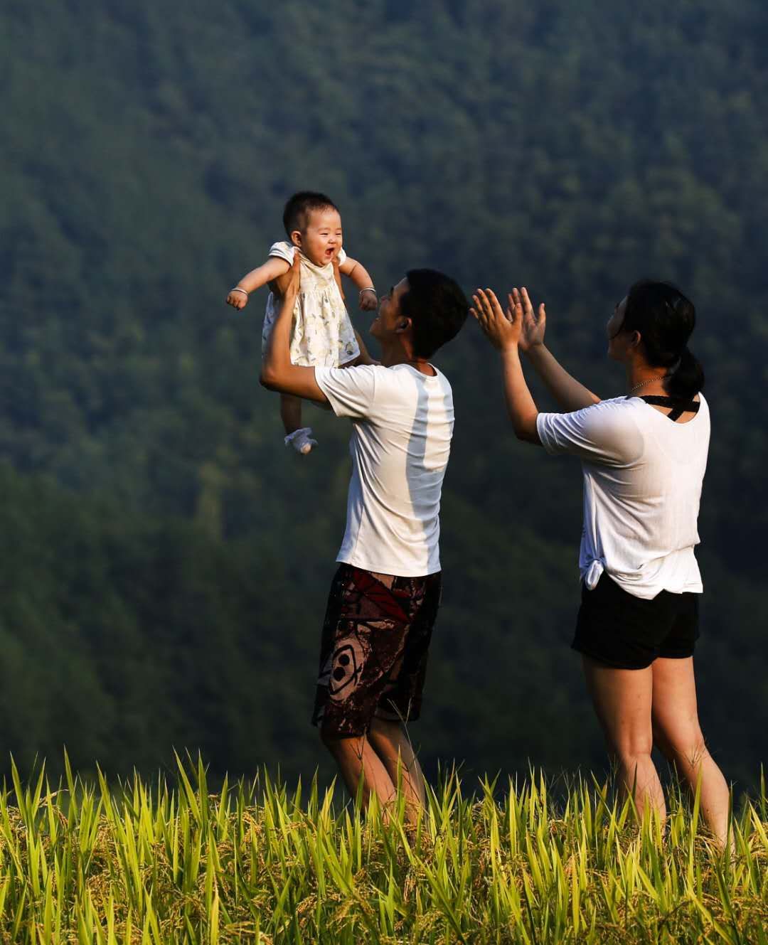 山村里的一家人,丰收季节,在田园里一个就家开心时刻,从小感受到