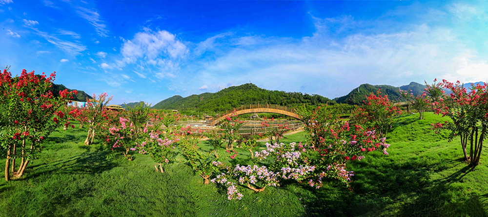 石圳中华紫薇园