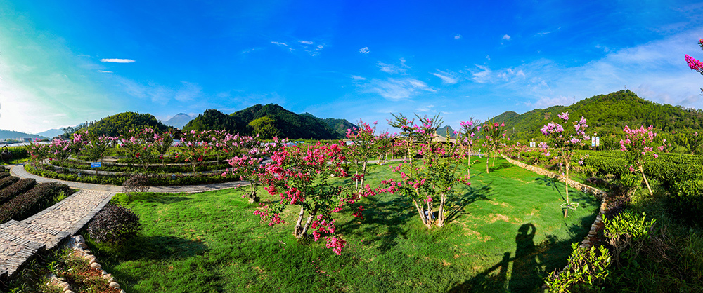 石圳中华紫薇园