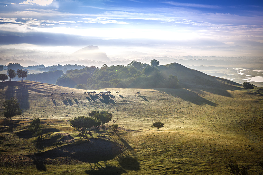 画面近景,中景,远景层次清晰.