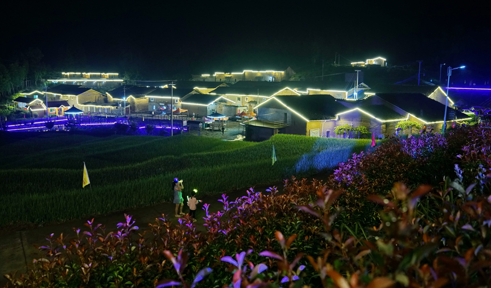 夜晚的山村,灯火辉煌,两位儿童在田野的道路上游览,欣赏夜色.