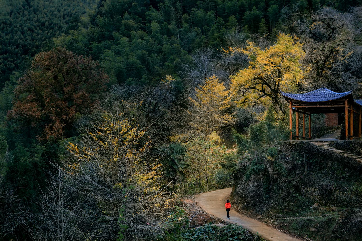 《半岭秋韵》——张剑辉 摄