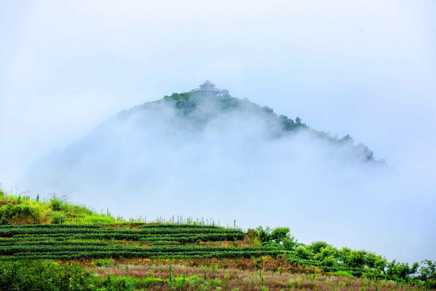 雨后山雾