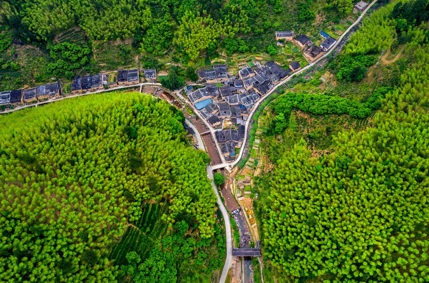 鸟瞰锦屏古村——2019年5月摄于福建政和.jpg