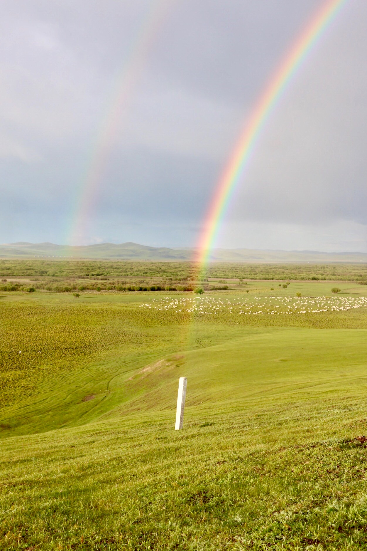 在那彩虹升起的地方