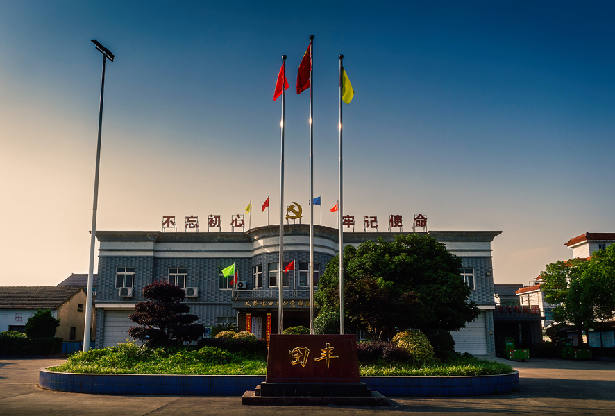 此片摄于2019年6月,杭州萧山义桥镇田丰村