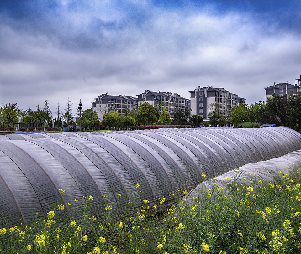 新农村-"生态福地 智造名城"马鞍山全国摄影大展-大众摄影网
