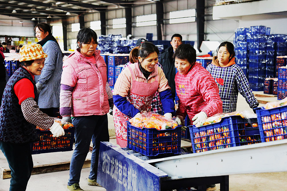 把挑选处理后的水果装车外运