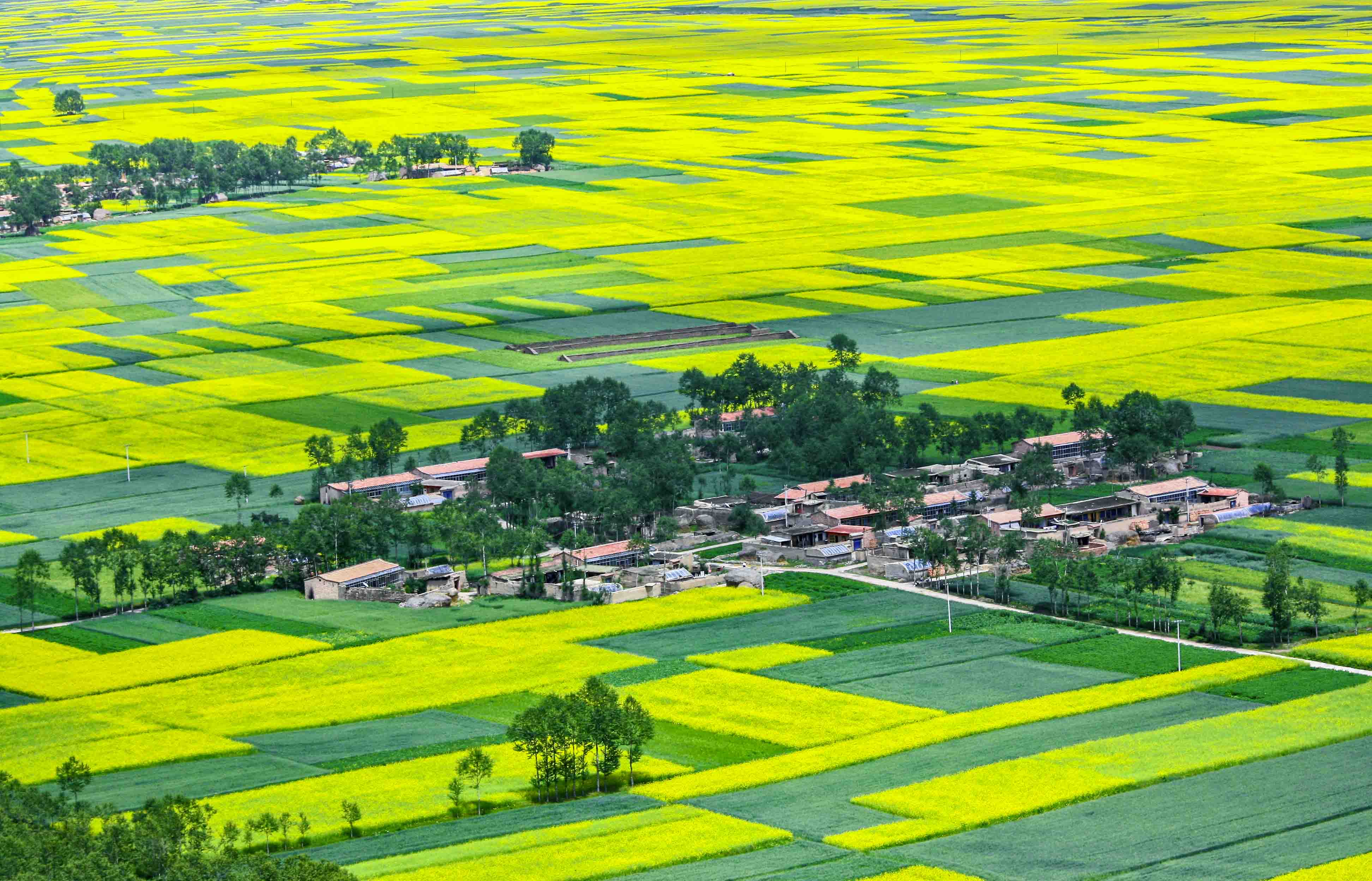 新农村美如画-"我和我的祖国"摄影类征稿区-大众摄影网