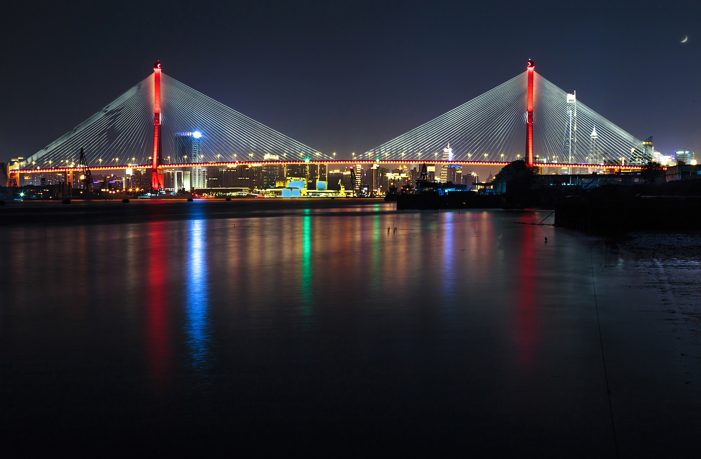 组图《杨浦大桥》1-2018年11拍摄于上海杨浦滨江绿地.作者:邹建军.