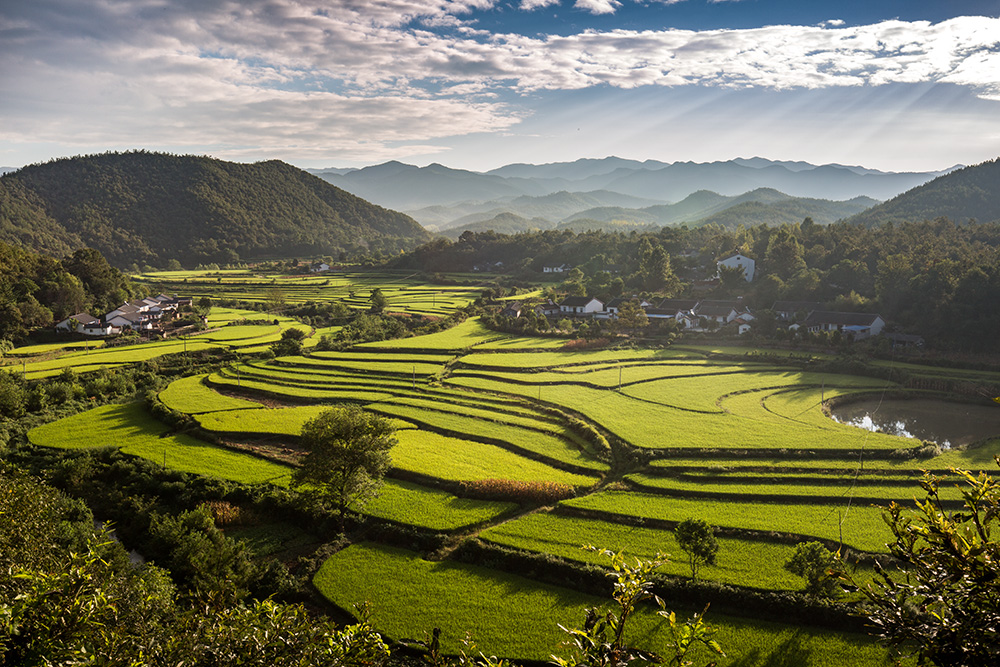 《美丽乡村如画》