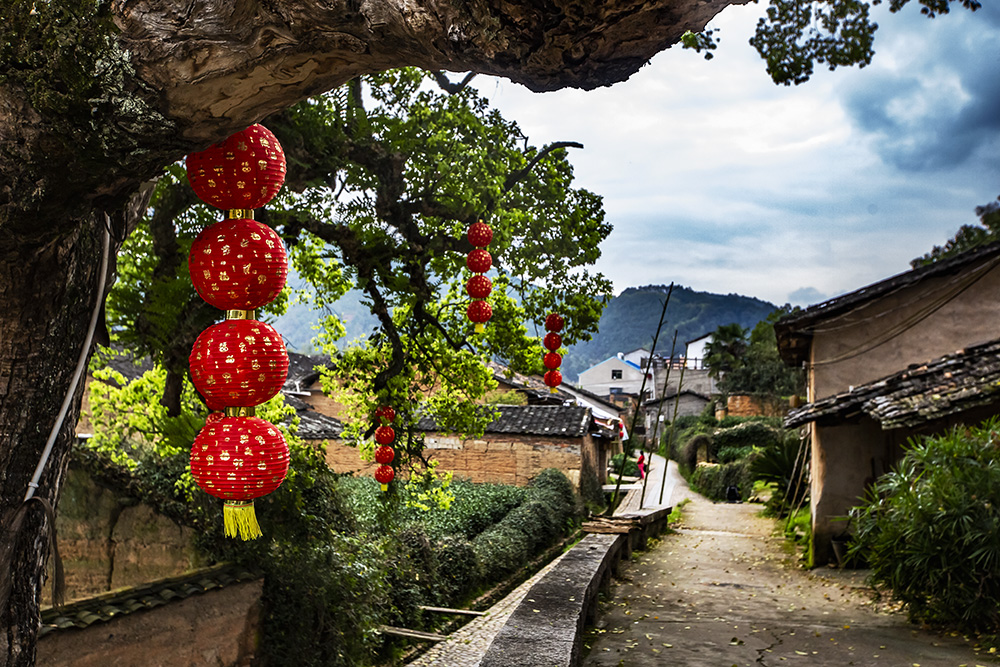 《美丽乡村松源石圳(组8幅)》2019.3.14 摄于福建政和松源.