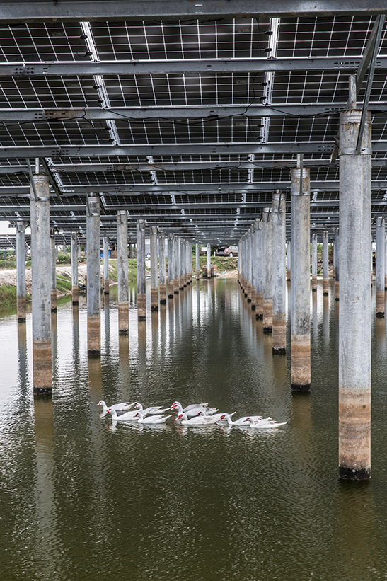 渔光互补发电(组照)