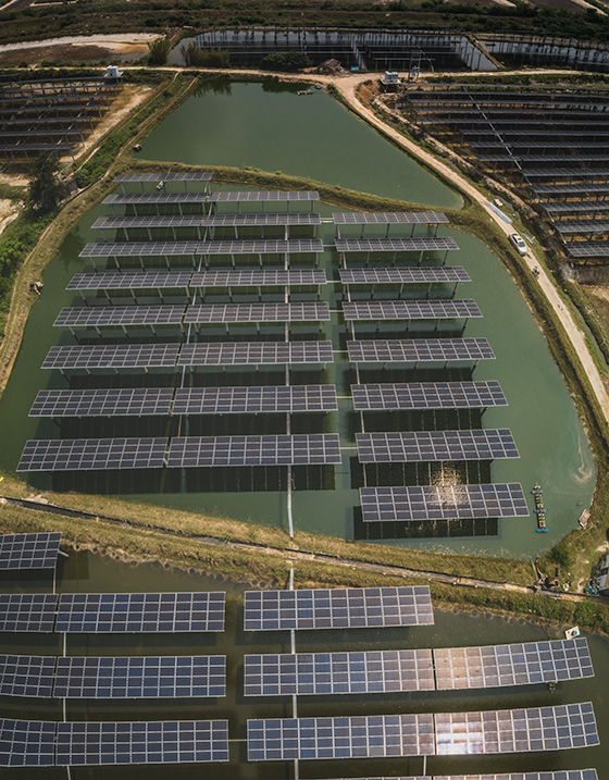 渔光互补发电(组照)