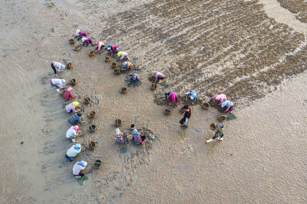 《挖蛤蜊》2018年7月6日拍摄于连云港市赣榆区石桥镇沿海.