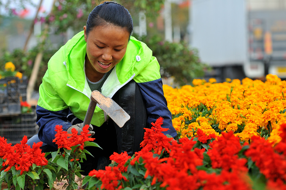 7,植花: 2017年1月20日,施工人员种植绿化花草.