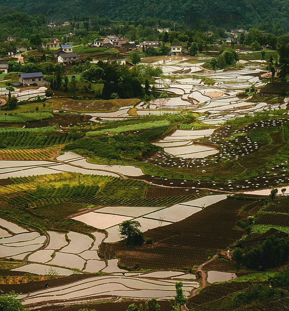 家园,2019年3月20日拍摄于沙湾区四峨村,主要表现四峨梯田如画风景