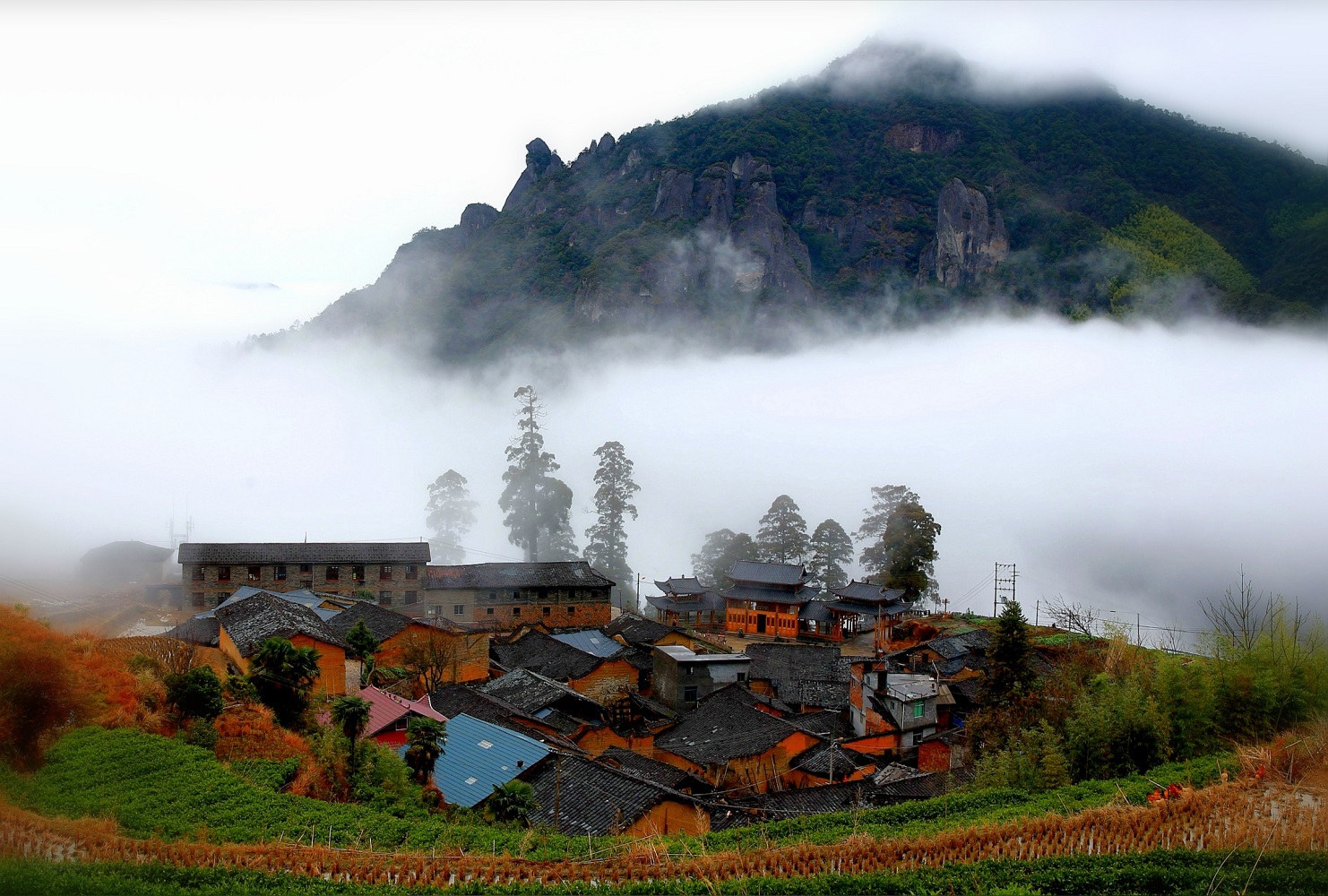 白云深处有人家