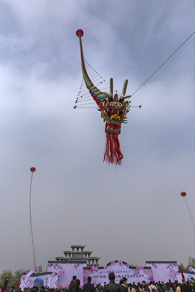 龙风筝来助桃花节