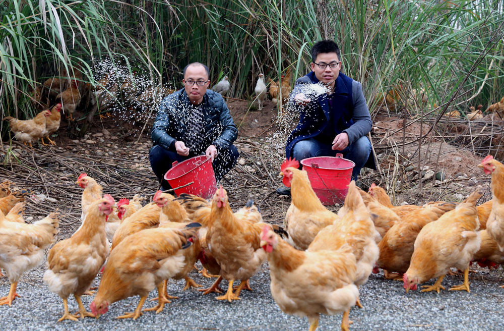 大学生返乡创办家庭农场(组图共7张)