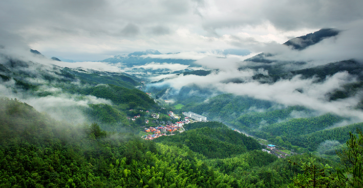 美三爪仑 -刘英-靖安县林业局-13879552566-2015年摄于靖安县三爪仑乡