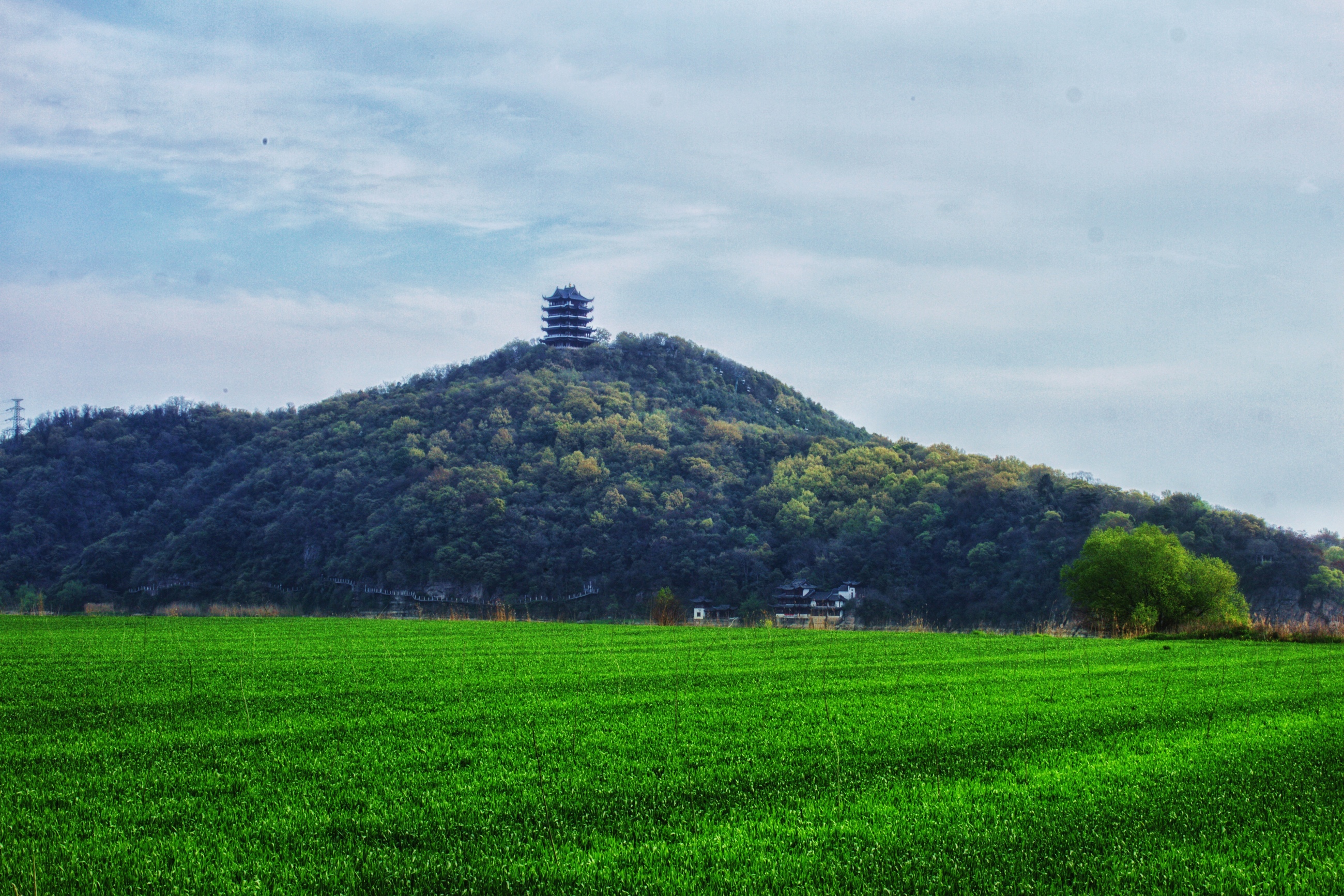 拍摄时间:2019年3月31日 拍摄地点:马鞍山太白岛(江心洲)  拍摄说明