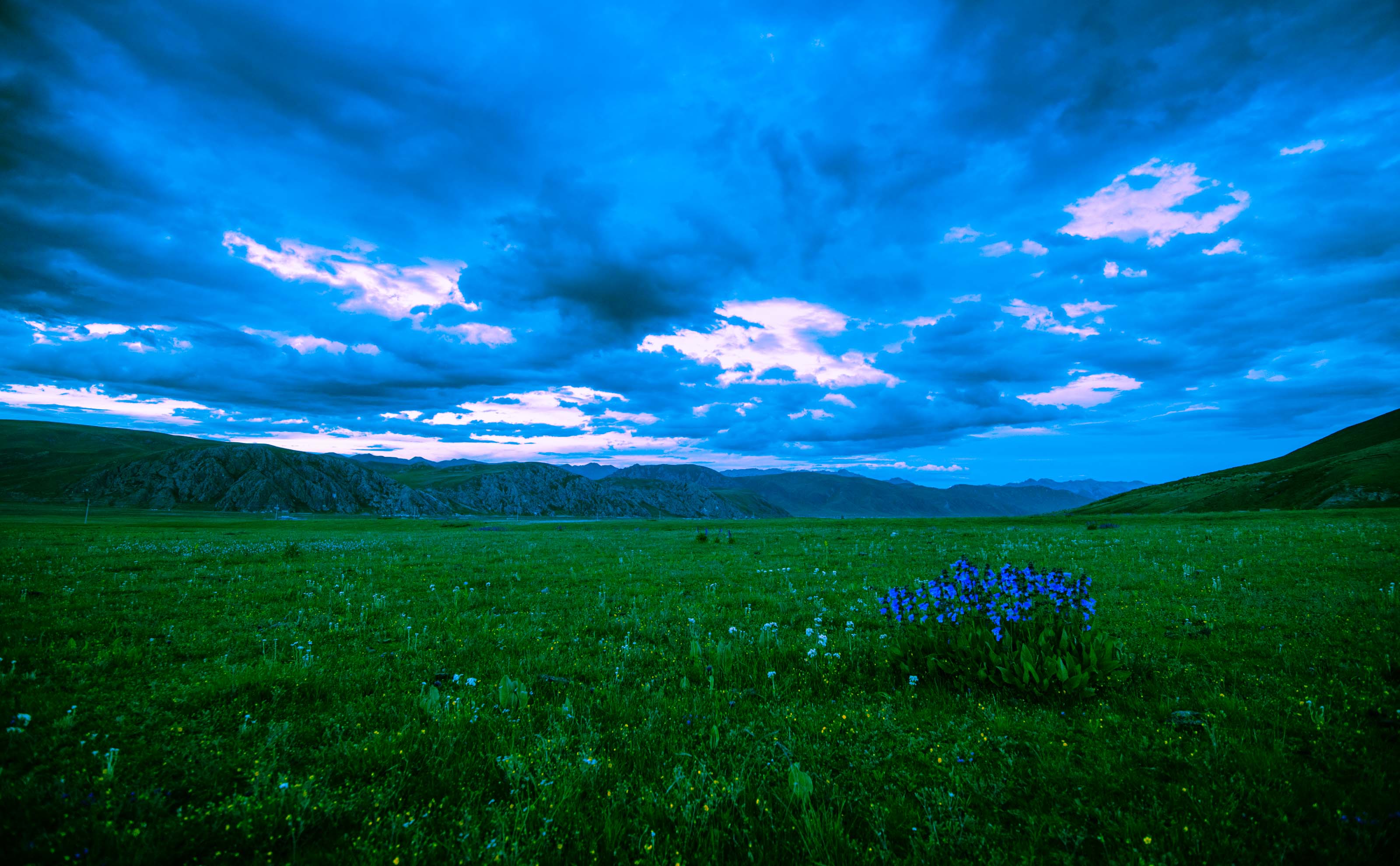《草原》 摄于20180717青海理塘,谭晓明18073339265.jpg