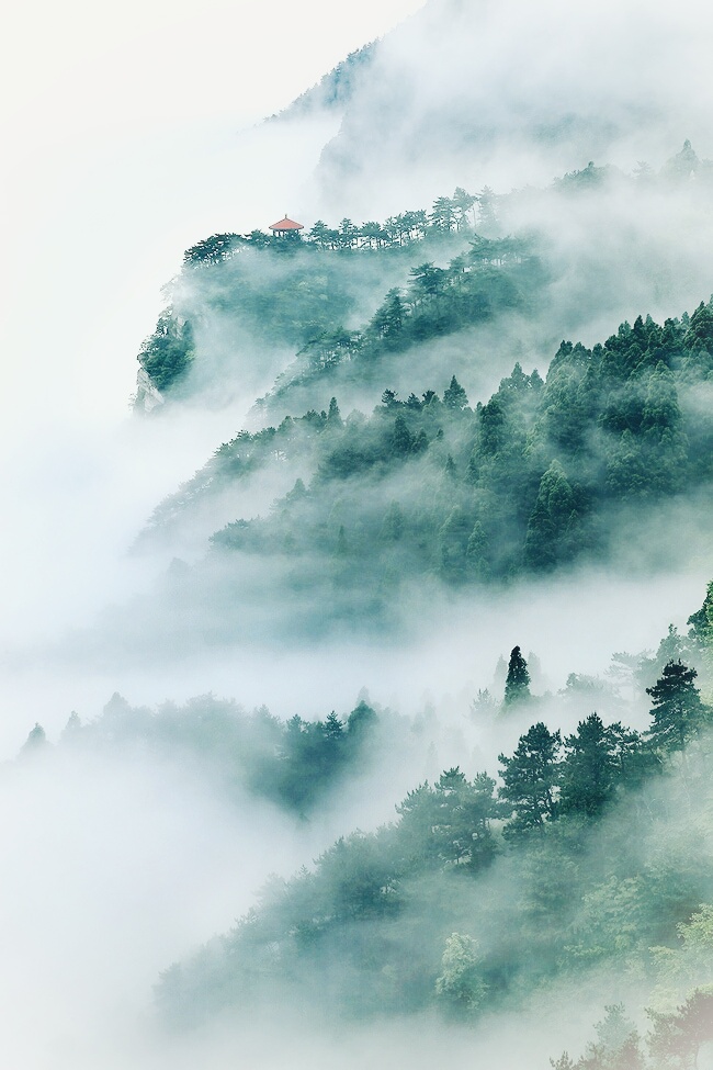 拍摄于庐山风景区望江亭畔,这里常年云雾缭绕,层云叠翠,仿佛仙境.