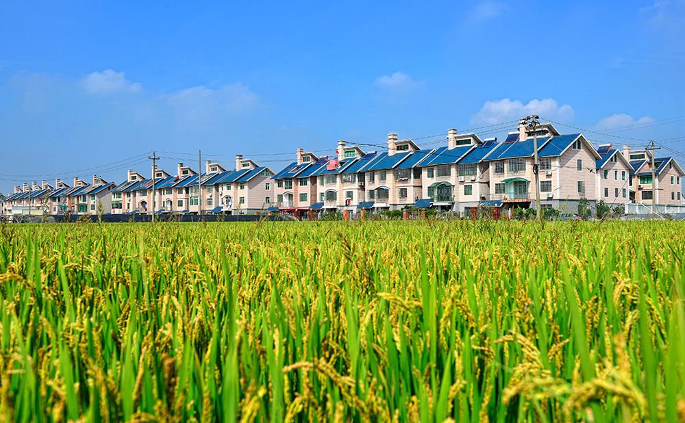 《美丽新农村》