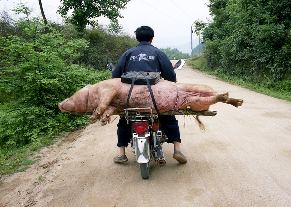 车子的变迁(组照)