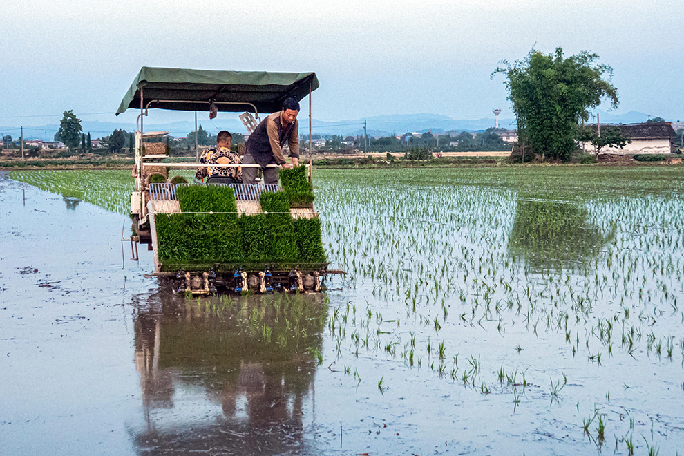和兴镇及金鱼镇和南兴镇新农村现代化耕作及收割等过程
