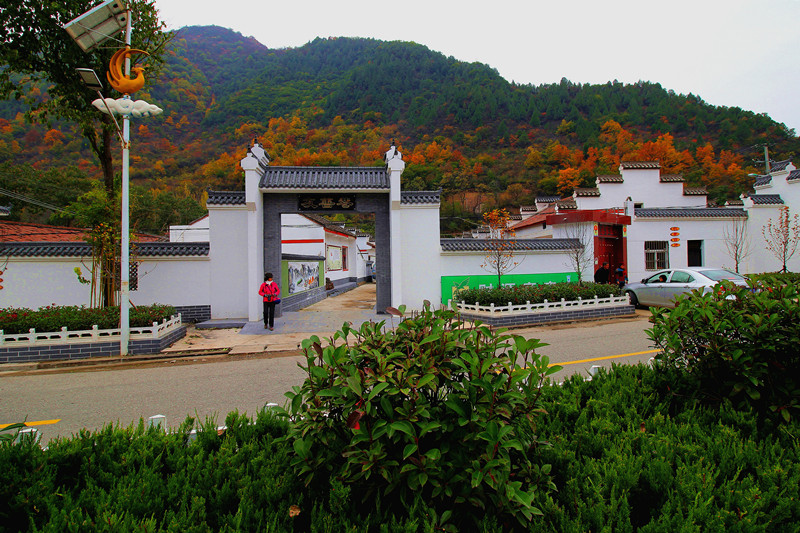陈家湾村整洁明亮