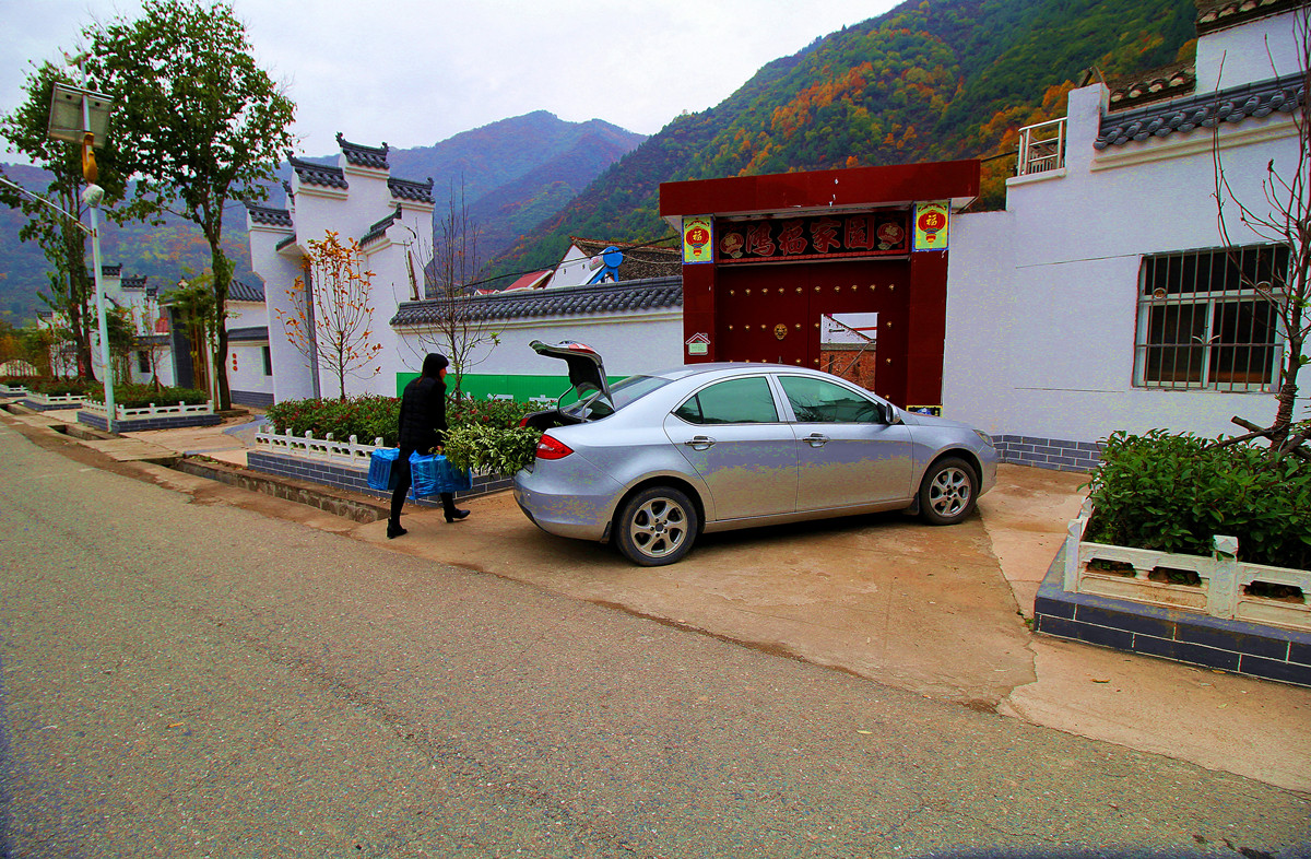 陈家湾村整洁明亮