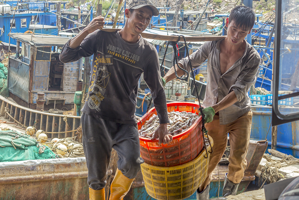 两个渔民抬着沉甸甸的渔获,说说笑笑,脸上洋溢着丰收的喜悦. .