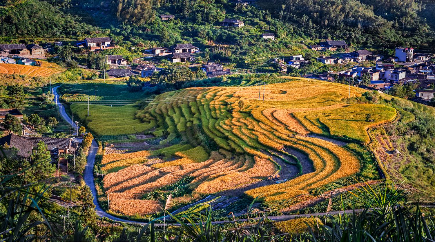 《乡村秋色》—— 2018年9月摄于福建福州罗源