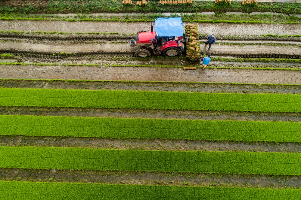 小型农机在田间(组照)