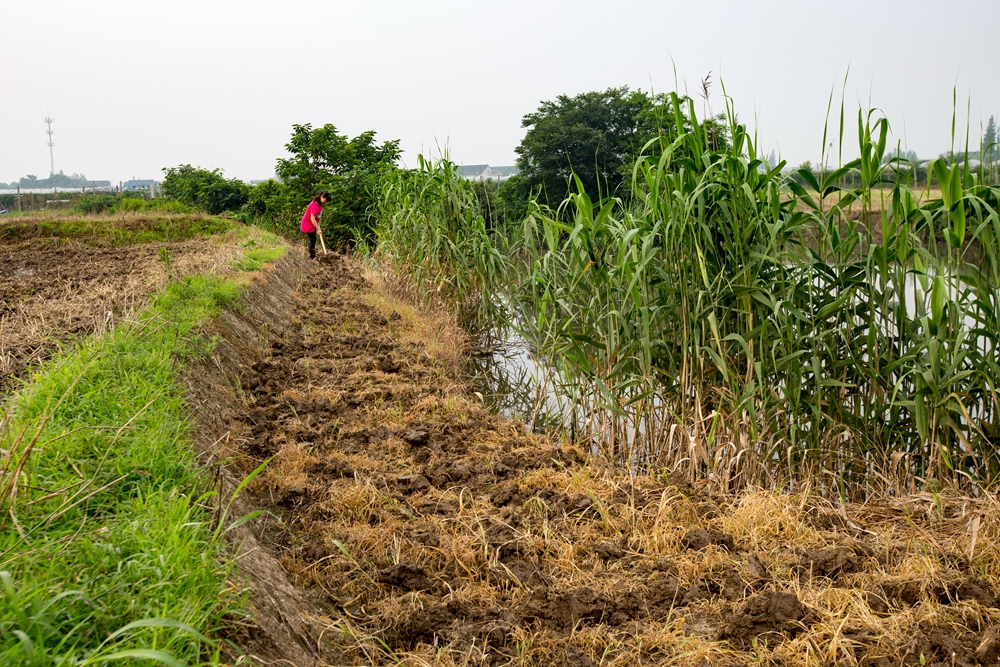 田间地头(组照)